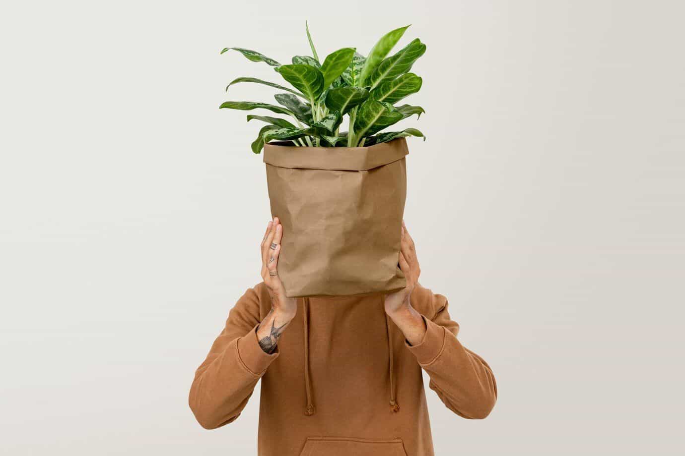 Why Grow Bags Are the Secret to a Healthier Garden